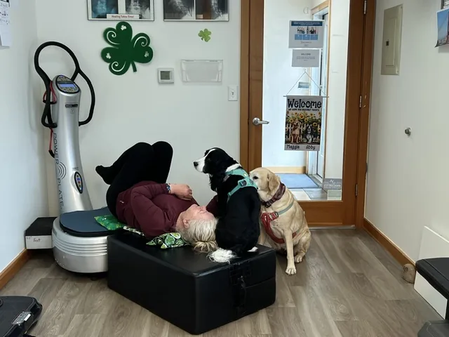 Abby and Maggie, the clinic dogs at Spine and Scoliosis Clinic