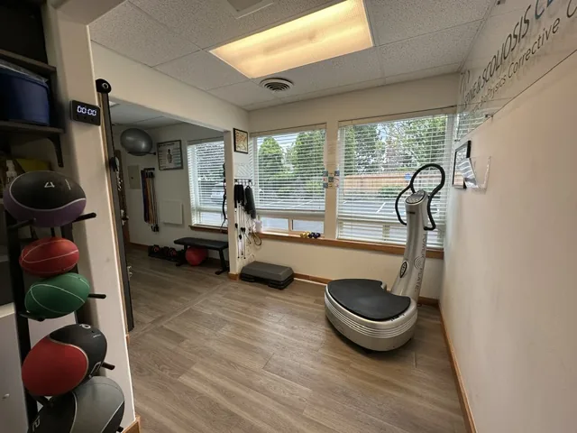 Power plate used for vibration-assisted exercise